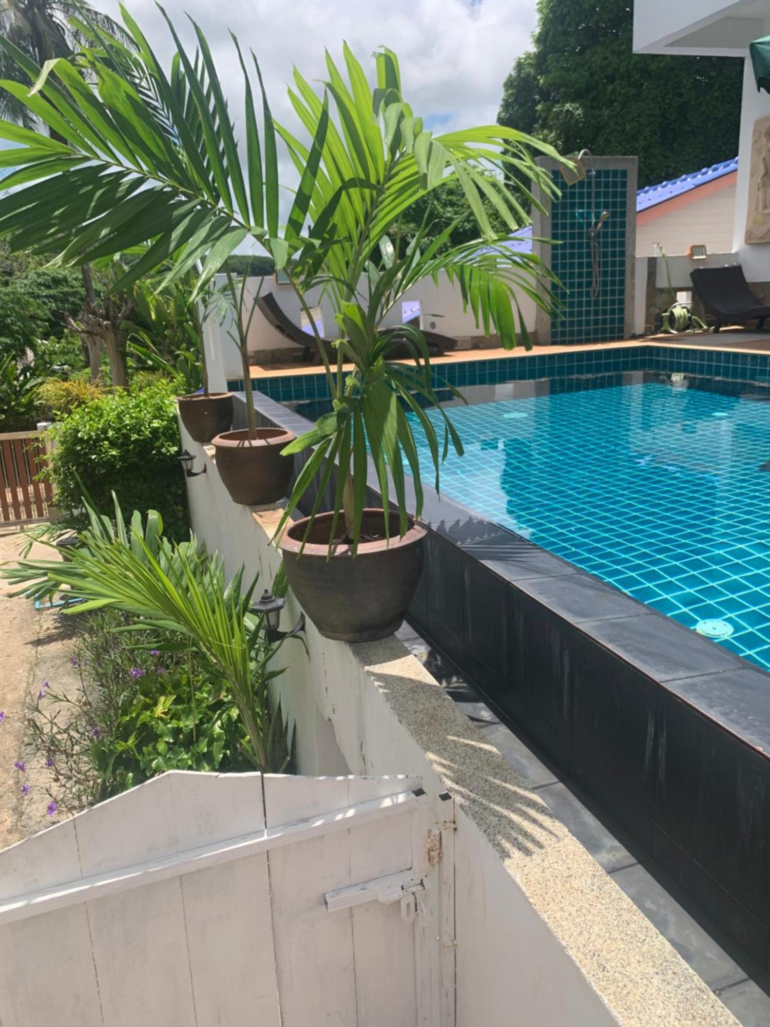 Du Bonheur Et Nature Rawai Phuket